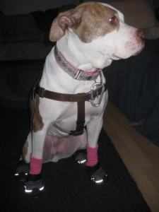 rocking some hot pink socks!
